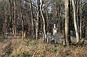 Rostoczek 11.2008 271